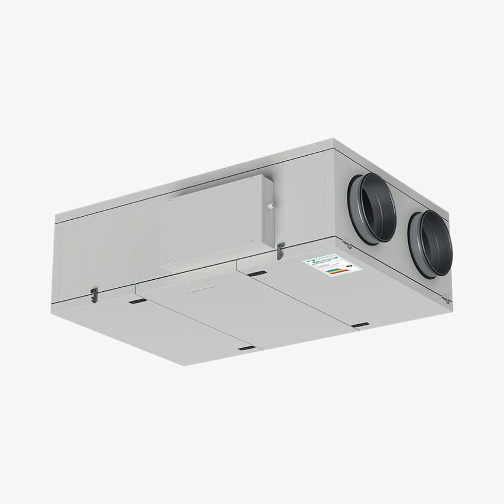 Verso CF (F)